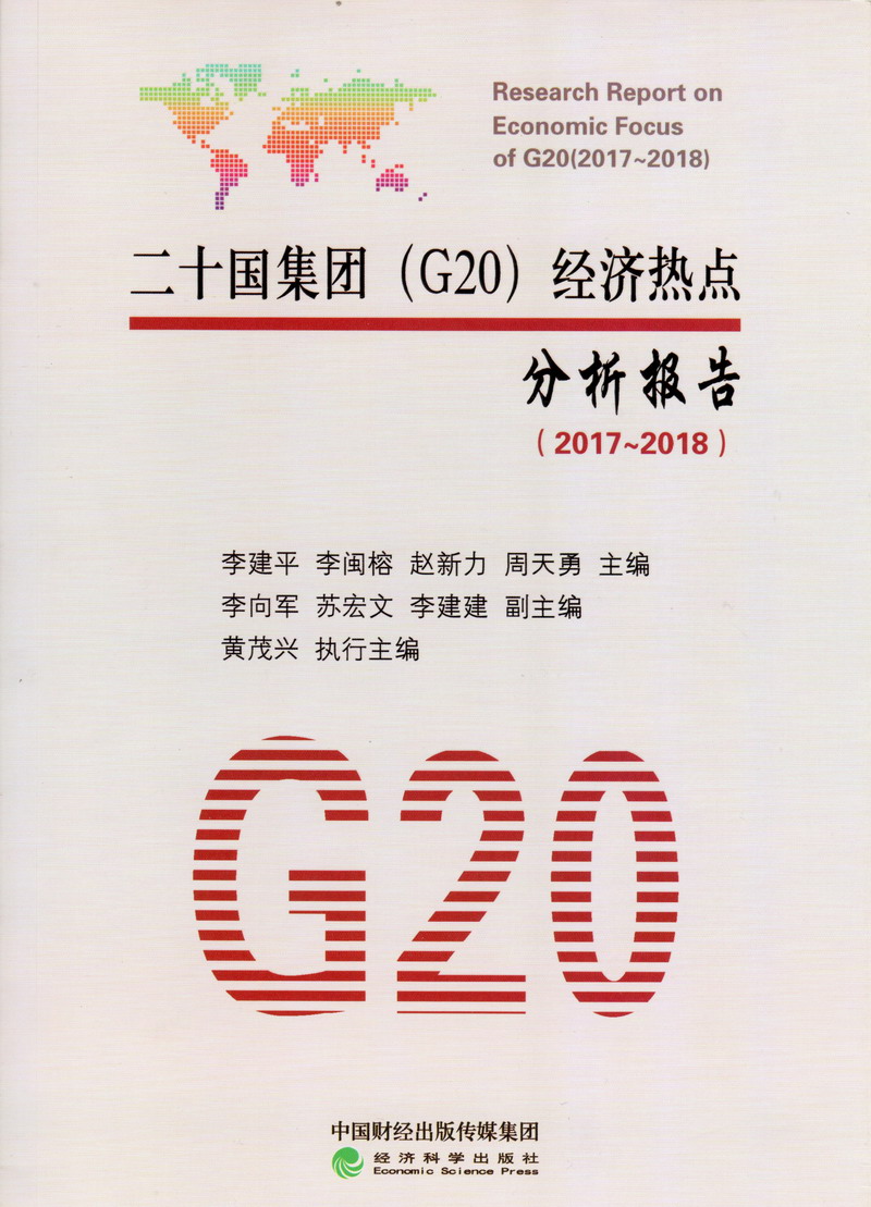 男女插入啪啪国产二十国集团（G20）经济热点分析报告（2017-2018）